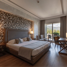 Hotel La Palma, 斯特雷萨 — 照片 4
