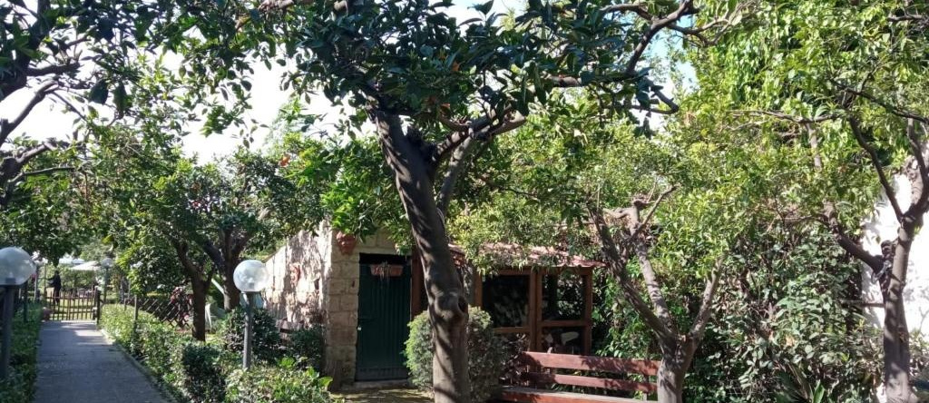 Residenza Caserta Sud - Appartamento con giardino, San Marco Evangelista — photo 1