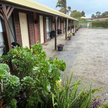 Barham Riverland Motel, 巴勒姆 — 照片 5
