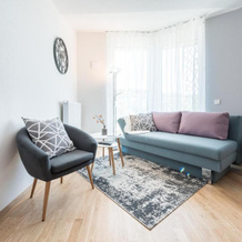 V7 Boutique Appartements, Freiburg im Breisgau — photo 2