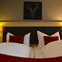 Gasthof Hotel Hirschen, 小维森塔尔 — 照片 4
