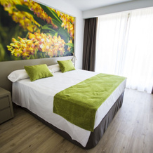 Hotel Kalma Jardín De Bellver, Оропеса-дель-Мар — фото 3