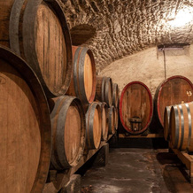 Gästezimmer Im Weingut Wolf, Гроскарльбах — фото 5