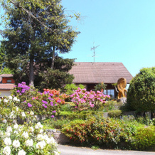 Ferienwohnung In Gutenbach, Гютенбах — фото 3