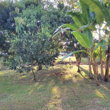 Casa Eva Ojochal, 科尔特斯港 — 照片 5