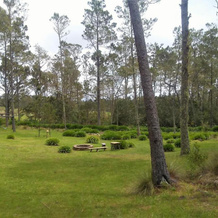 Villa Pajon Eco Lodge, 康斯坦西亚 — 照片 5
