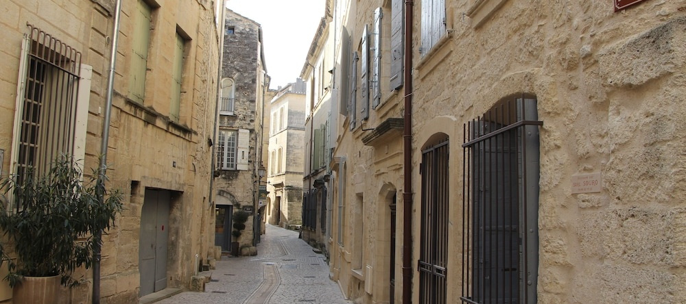 Chambres D'hôtes La Bonaventure, Узе — фото 1