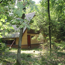 Detached Wooden Bungalow With Microwave Surrounded by Nature, 斯海克 — 照片 3