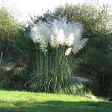 Le Pré Joly, Jouy-le-Potier — photo 3