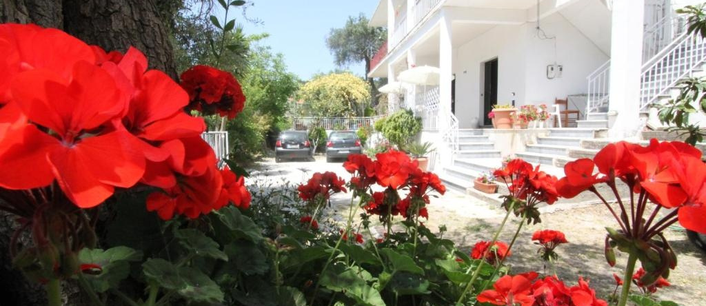 Angeliki Studio and Apartment, Gaios — photo 1