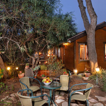 Tree House Chalets Shale, 克法尔弗拉迪姆 — 照片 2