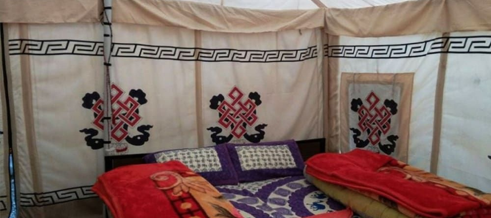 TIH Himalayan Shakia Camp - Jispa, Gemur — photo 1