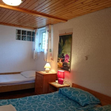 Apartmaji Marinka Hodnik, 博希尼镇 — 照片 4