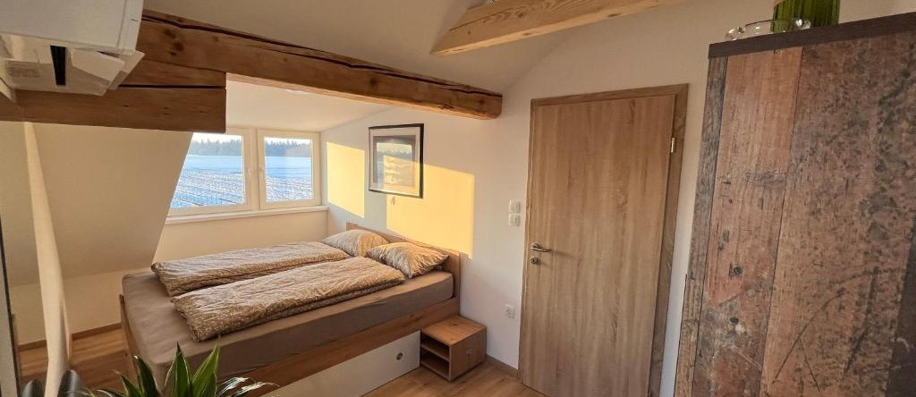 Apartma Ajja, Шенчур — фото 1