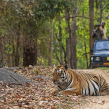 Taal Tiger Retreat, Хатия — фото 5