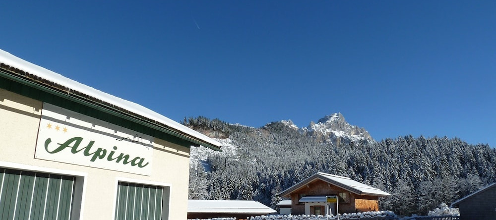 Alpina, Graen — photo 1