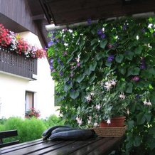 Apartment Andolsek, Bohinjska Bistrica — photo 2