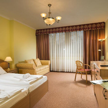 Ozoon Hotel, Ньиредьхаза — фото 2