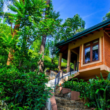 The Tea Cottage Resort & Spa, 博加万塔拉瓦 — 照片 3
