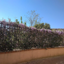 B&B Le buche Casa storica, Canino — photo 4