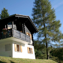 Chalet 1005, Грюйер — фото 3