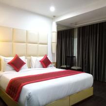 Hotel Delhi Airport, Нью-Дели — фото 3