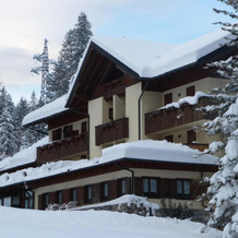 Albergo Nuoitas, Форни-ди-Сопра — фото 4