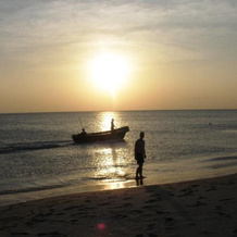Shell Coast Resort, 佩萨莱 — 照片 5
