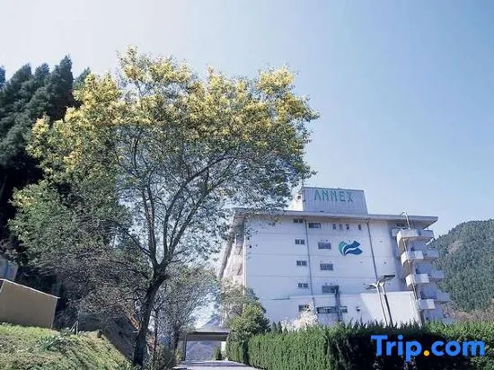 Hinotani Onsen Misugi Resort Hotel Annex, Tsu — photo 1