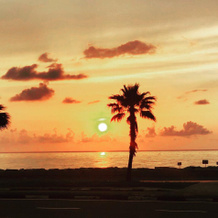 Palm Батуми, Батуми — фото 4