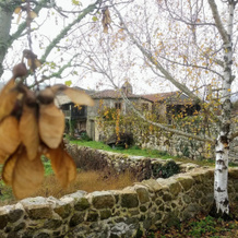 Reitoral De Chandrexa, Parada de Sil — photo 4