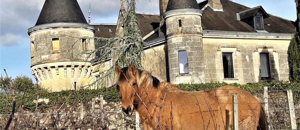 Chateau De La Grave, Бург-сюр-Жиронд — фото 1