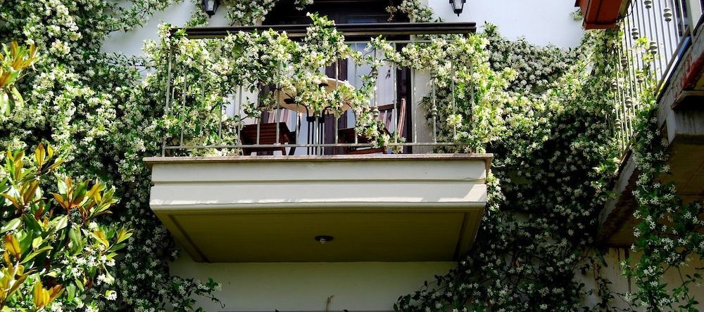 Jennifer Home Hotel Guest House, Драма — фото 1