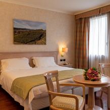 Hotel Roxy Plaza, Soave — photo 2