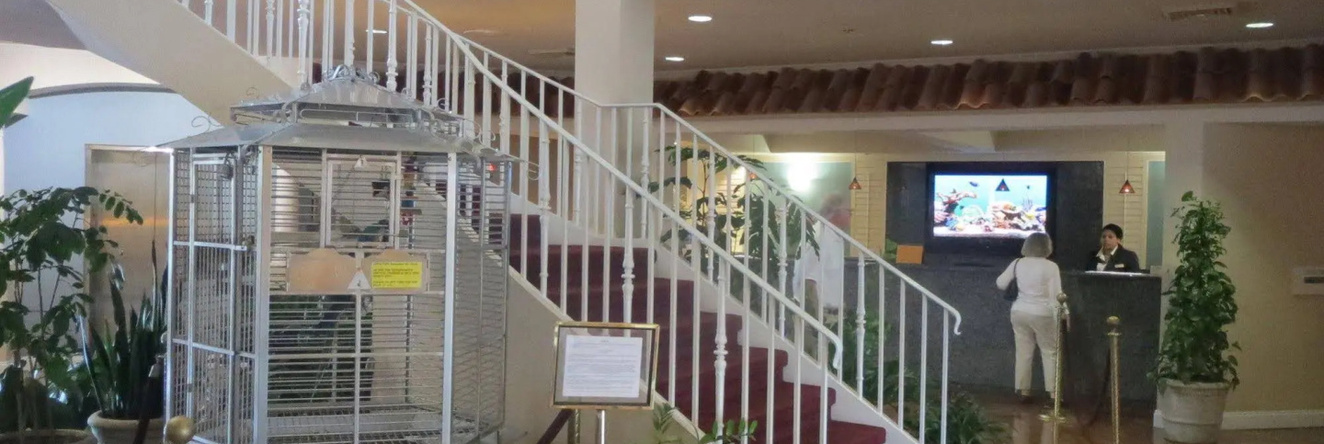Hilton Vacation Club Cypress Pointe Orlando, 奥兰多 — 照片 1