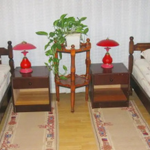 Bed and Breakfast Amfora, 季米特洛夫格勒 — 照片 4