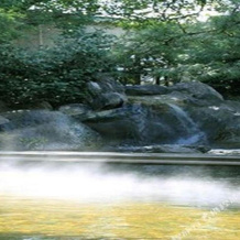 Hotel Hanamizuki, Kuwana — photo 2