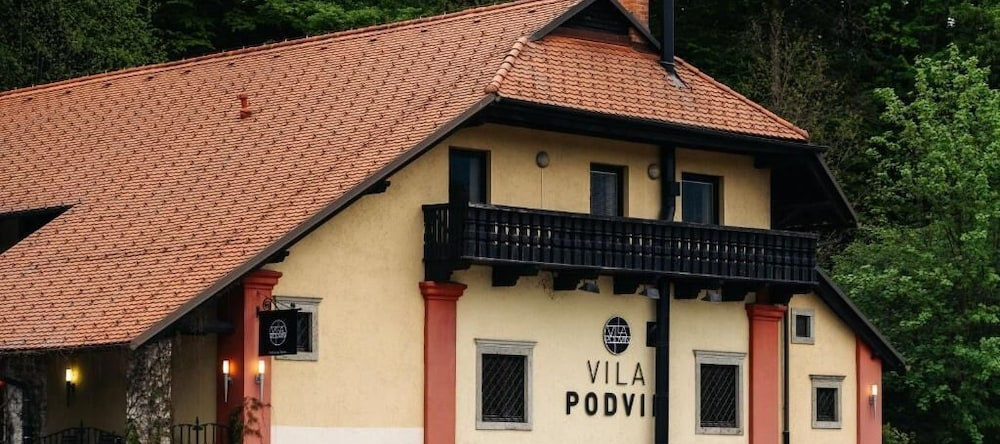 Vila Podvin, Радовлица — фото 1