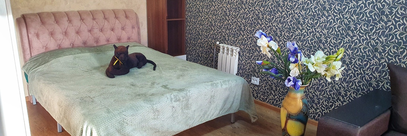 Апартаменты Багира - Рядом Протон-Арена, Бассейн Дввс, Скад, Въезд В Город, Р228, Саратов — фото 1