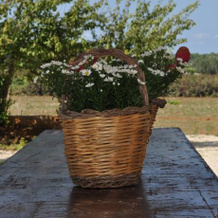 Agriturismo Tenuta Muzio, Санникола — фото 3