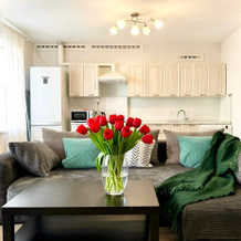 Comfort & Relax Home The Townhouse Private House, Dolgoprudny — photo 3