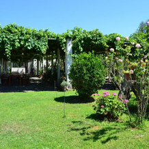 Agriturismo Il Maresciallo, 卡里亚蒂 — 照片 4