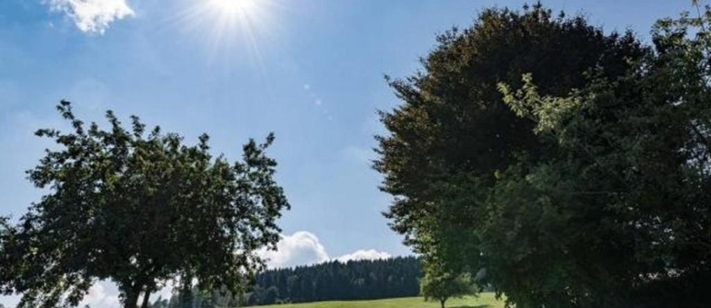 Ferienwohnungen Schweinberger Mühle, 科尔恩堡 — 照片 1