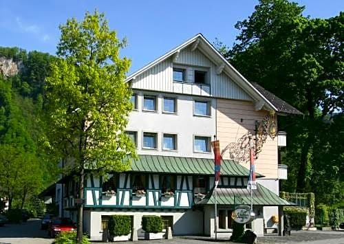 Hotel Landhaus Schiffle, Хоэнемс — фото 1