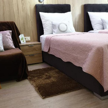 Ginko Boutique Rooms and Wellness, Daruvar — photo 3