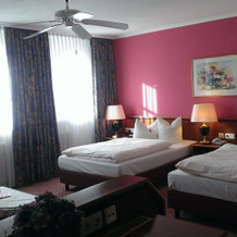 Hotel-Restaurant Schwanen, Вайль-на-Рейне — фото 5