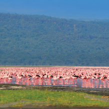 Kenya Safari – Kenya Classic Keekorok (6 Nights), Nairobi — photo 5