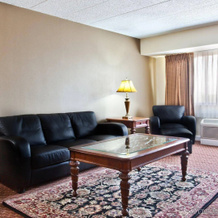 Holiday Inn Rolling Meadows-Schaumburg Area, Роллинг Медоус — фото 3