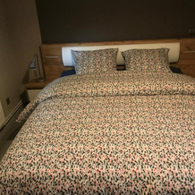 Lunéville Gîte Le Bougainvillier 6 personnes - Centre de ville - maison de vacances piscine & jardin, 吕内维尔 — 照片 3