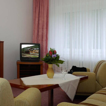Naturparkhotel Haus Hubertus, Oybin — photo 4